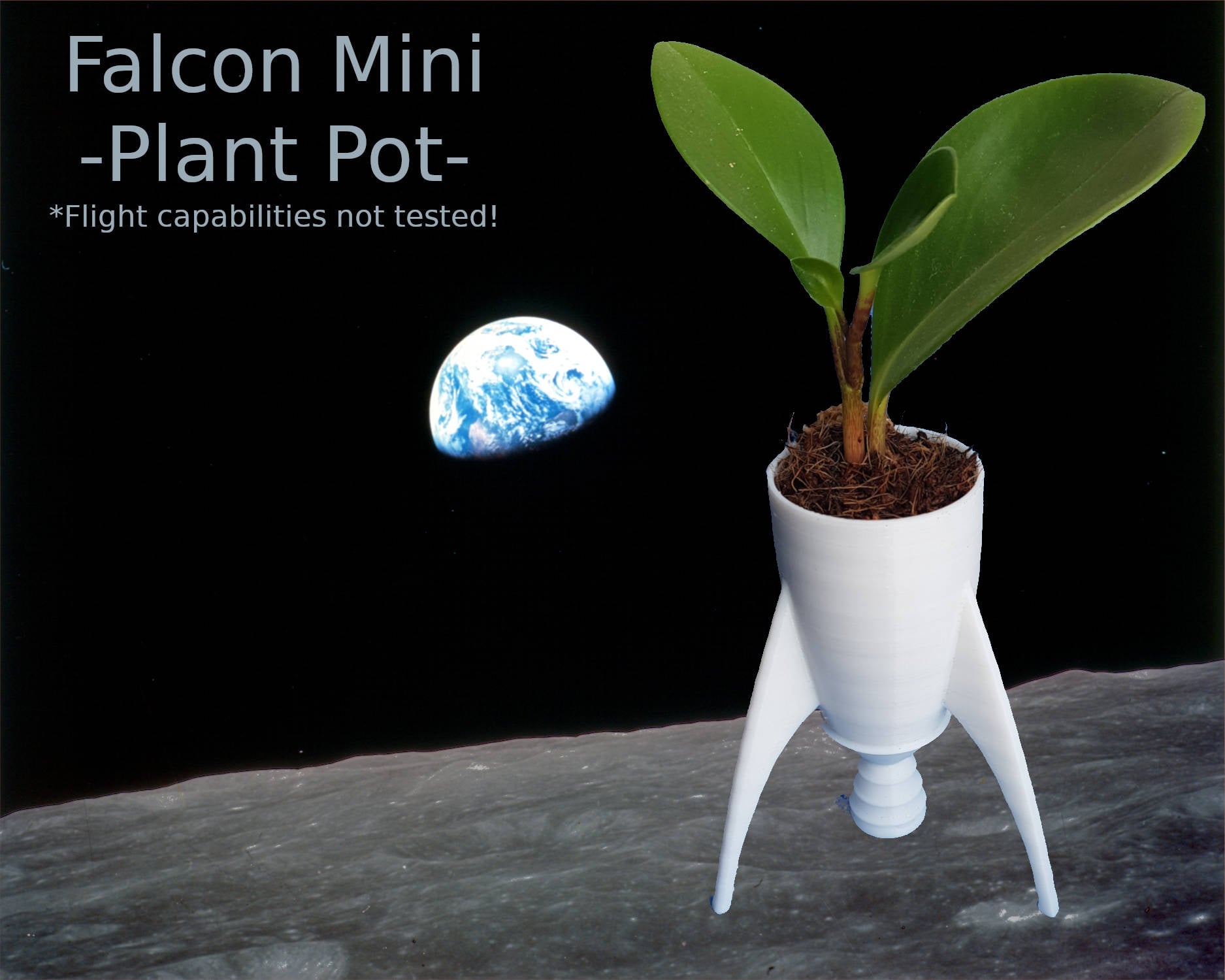 Falcon Mini - Plant Pot