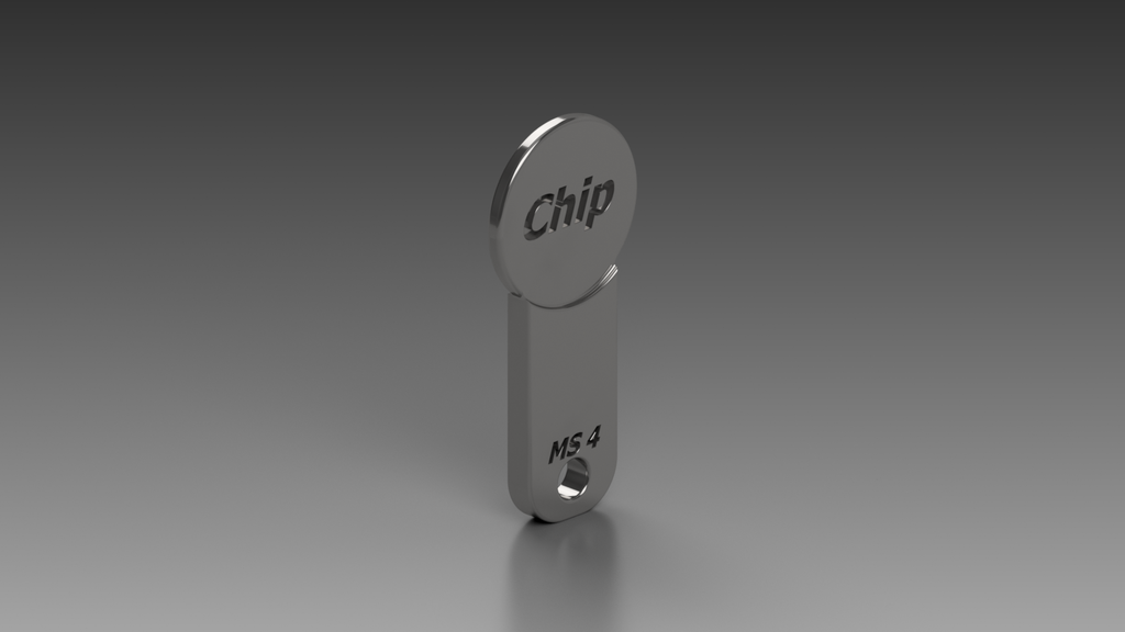 Einkaufschip / Chip