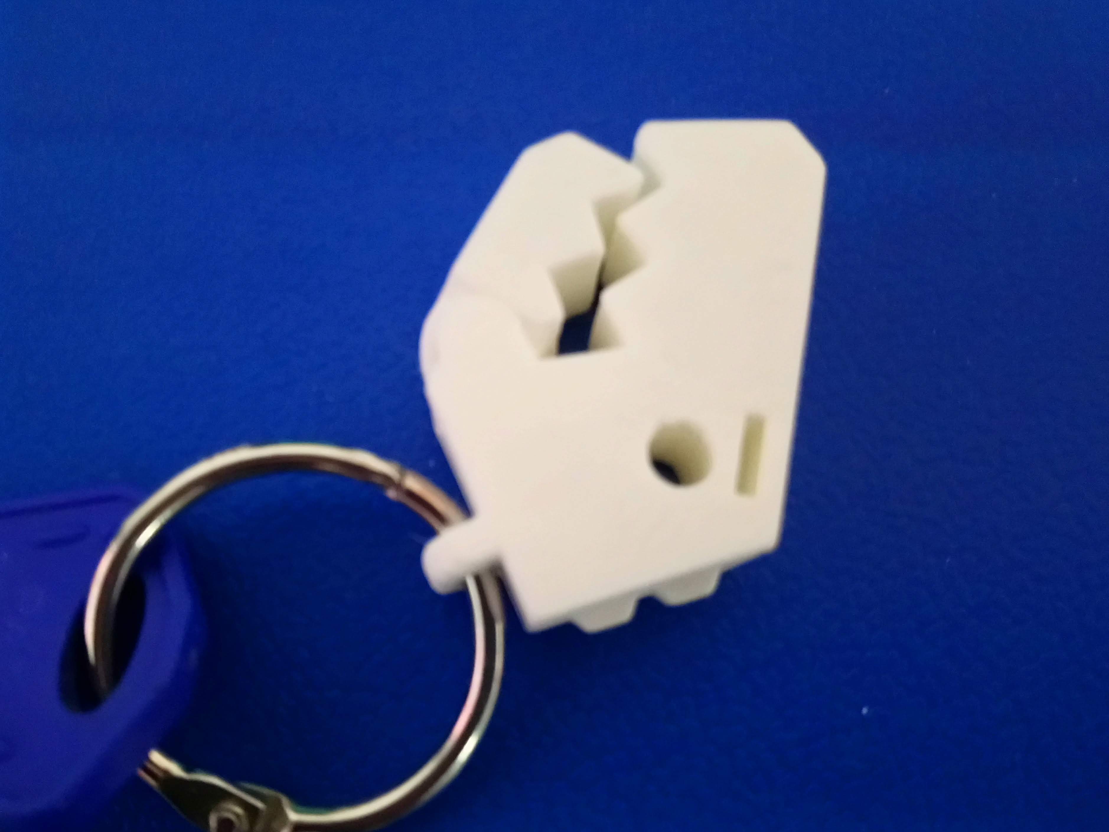 Rex keychain