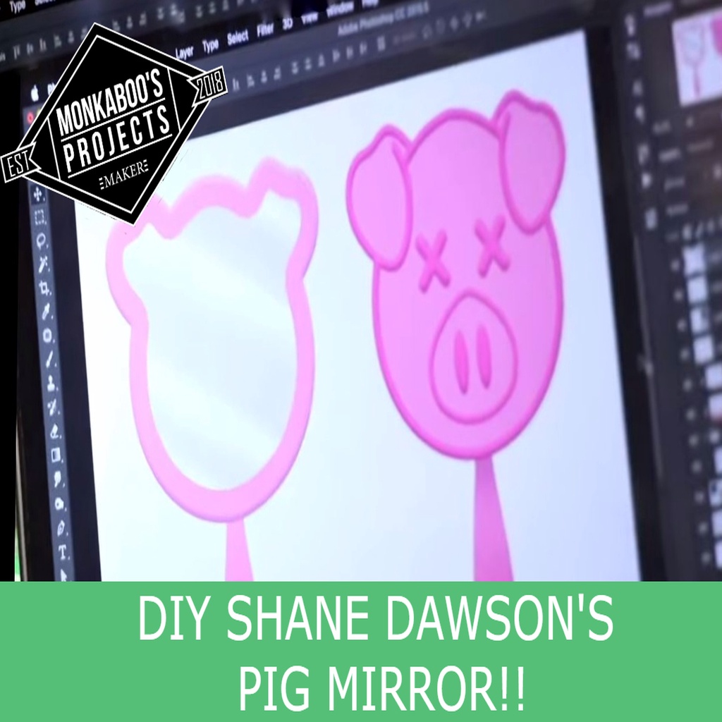 SHANE DAWSON's PIG MIRROR