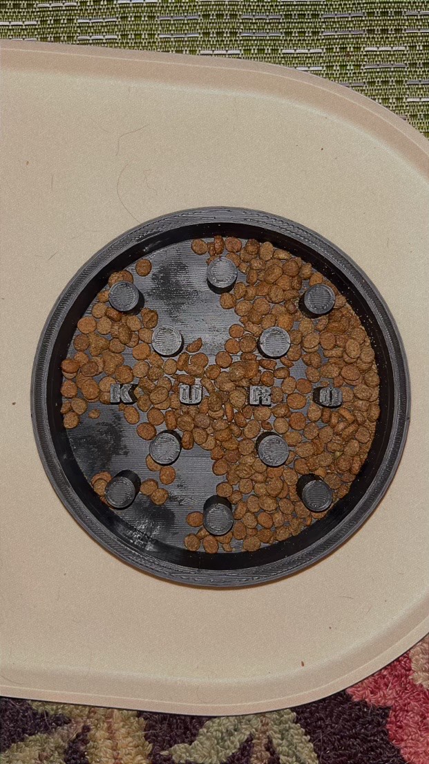 Cat Slow Feeder