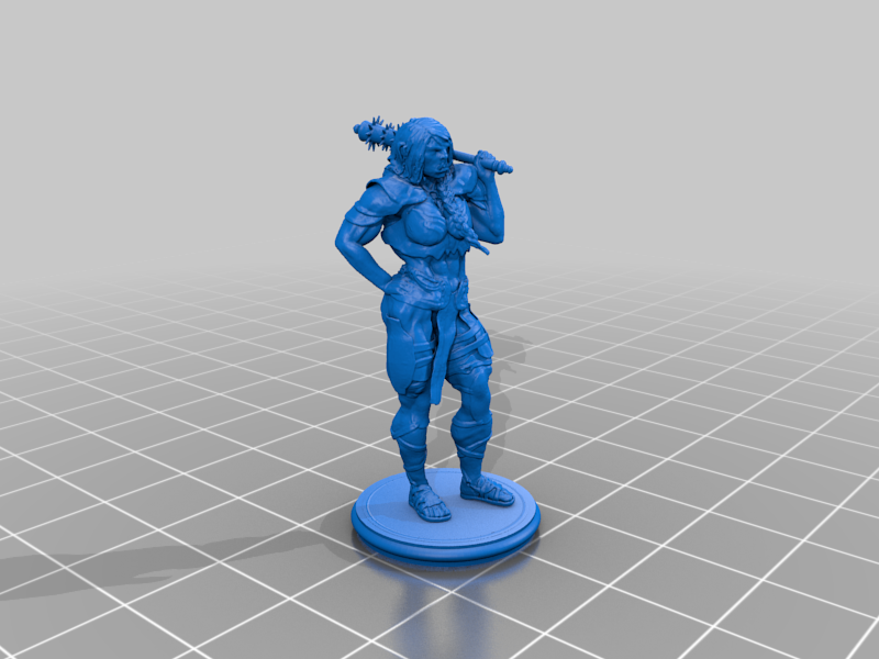 Half Orc / Ogre Female Warrior