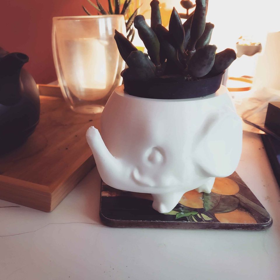 Cute Elephant