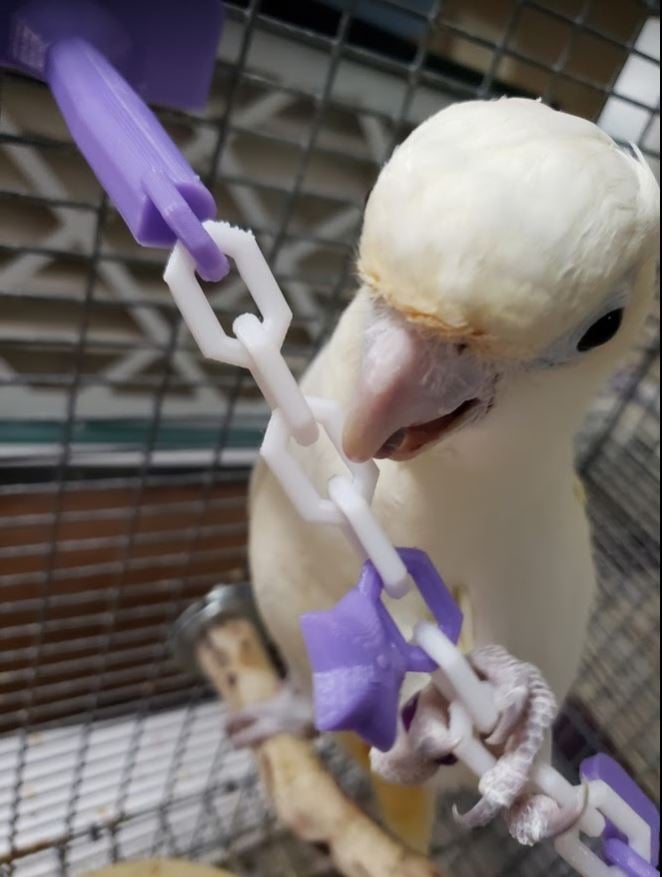 Bird toy: Chain, rattle, charms for 0.5, 1.0, and 2.0 in welded wire.