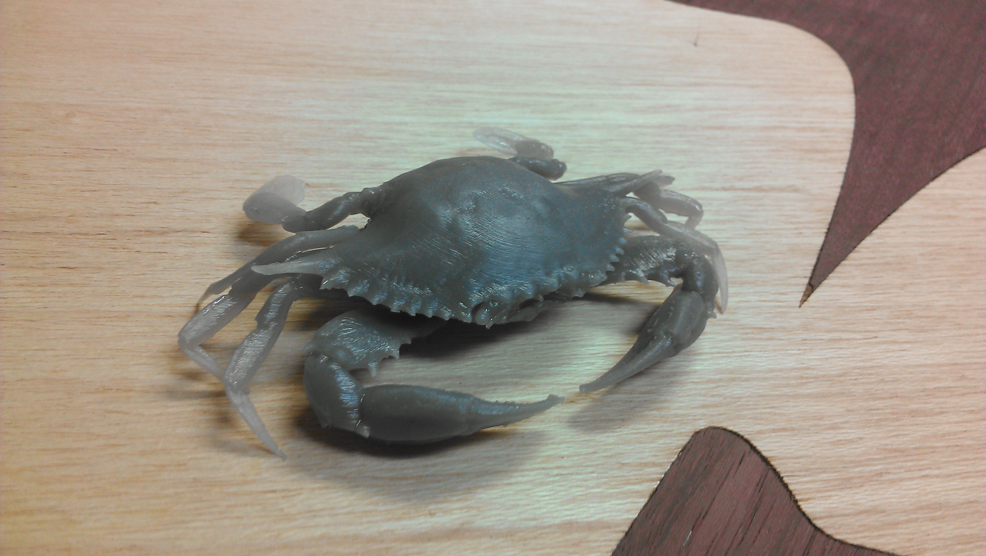 Image of Chesapeake Blue Crab