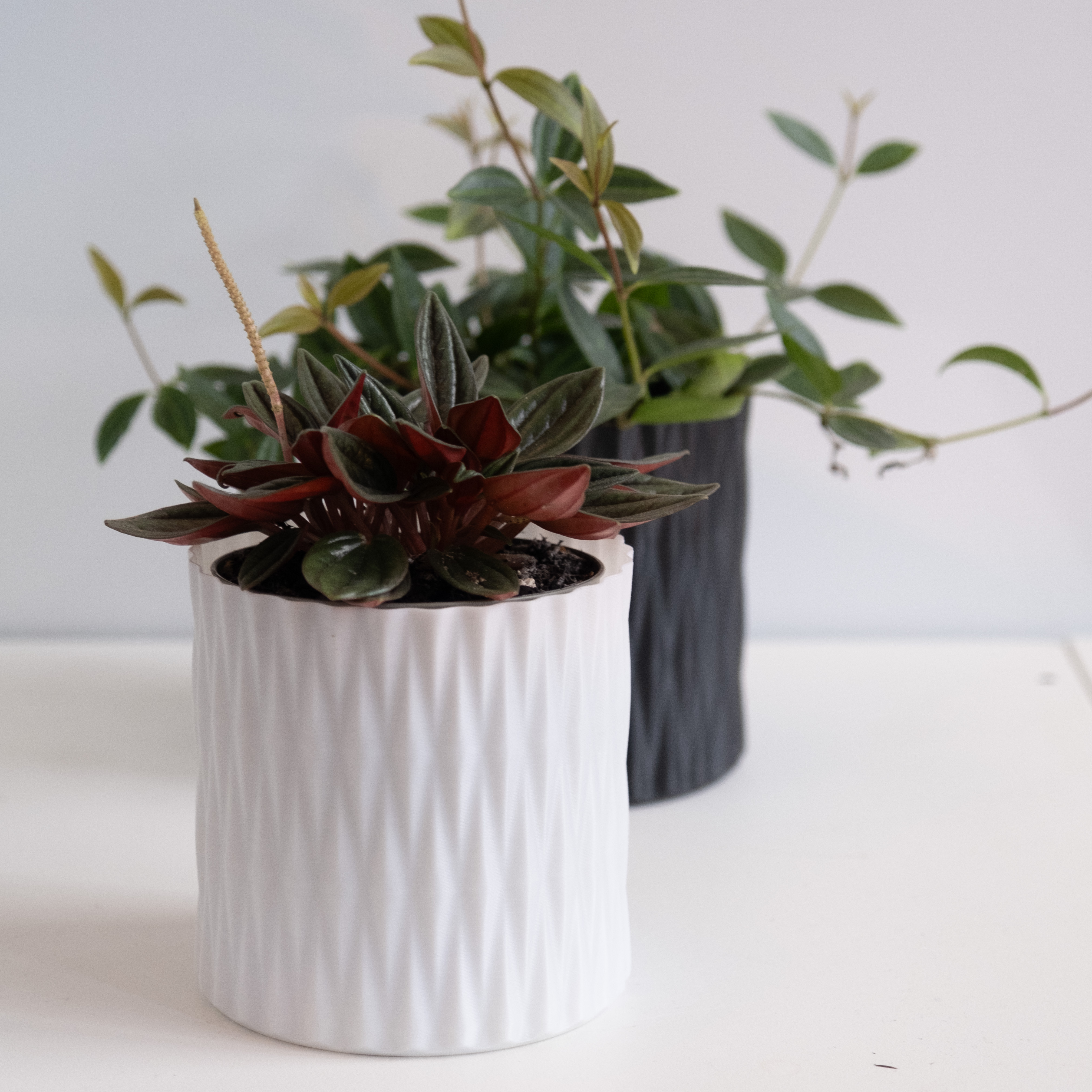 LINES crossed vase mode flowerpot planter