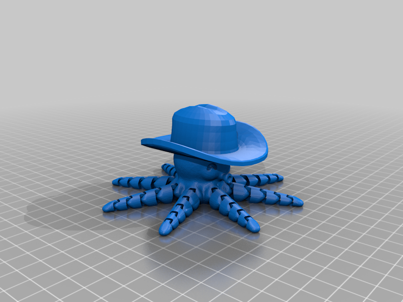 Octopus With Cowboy Hat