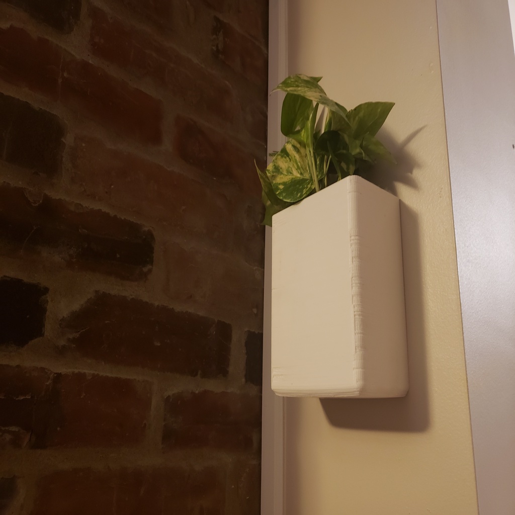 hanging wall planter
