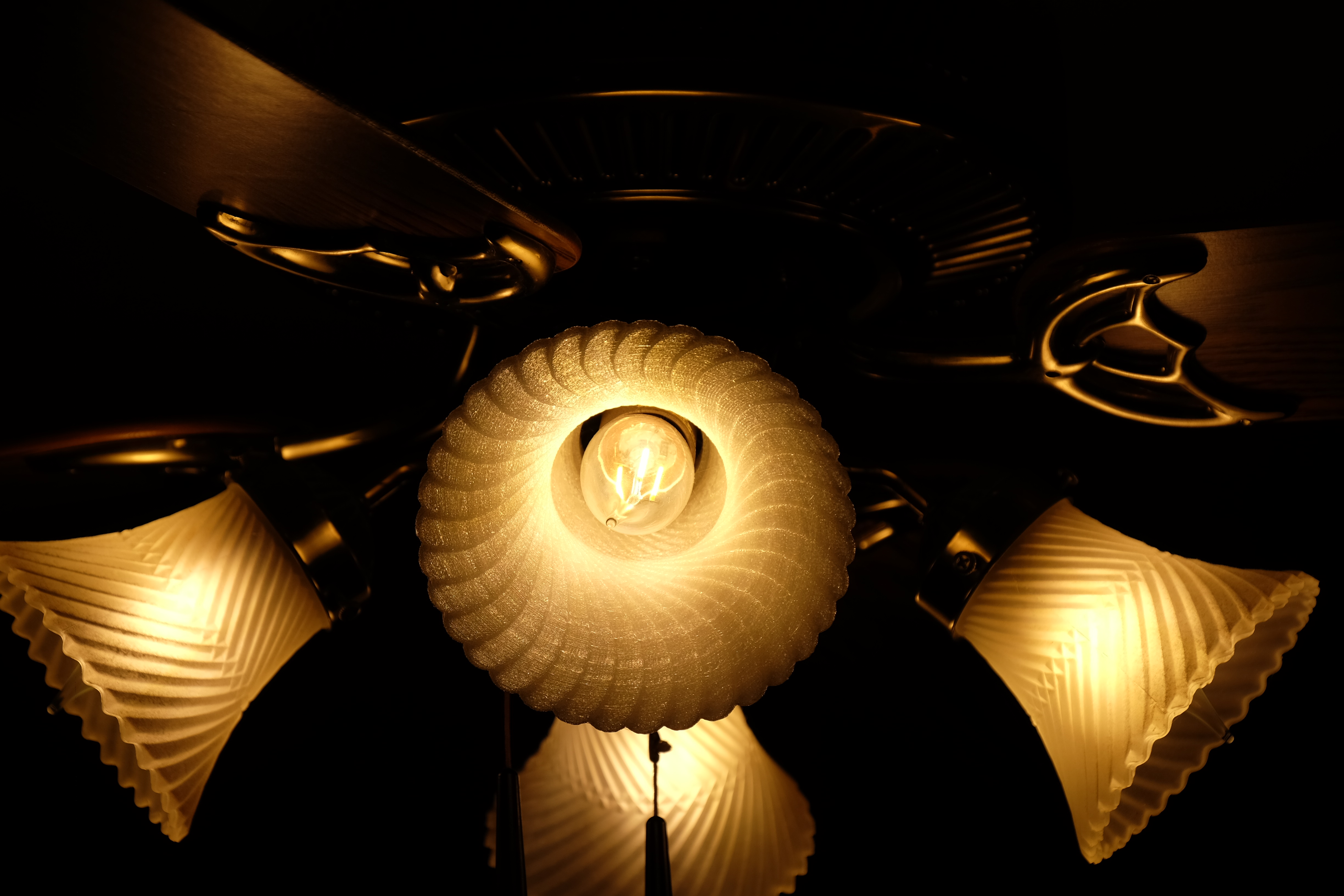 Fan Light