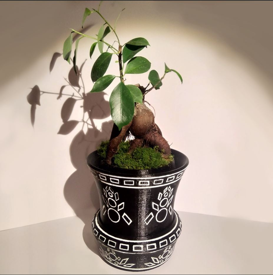 Flower pot with hidden compartment