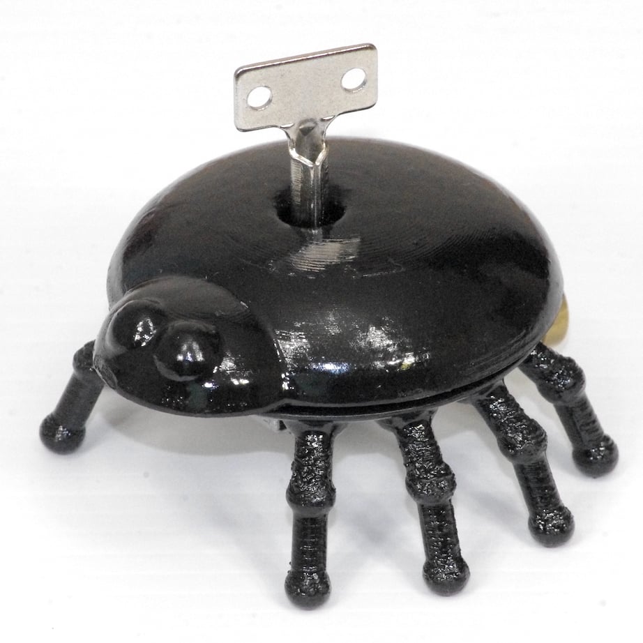 Jumping Bug Spider