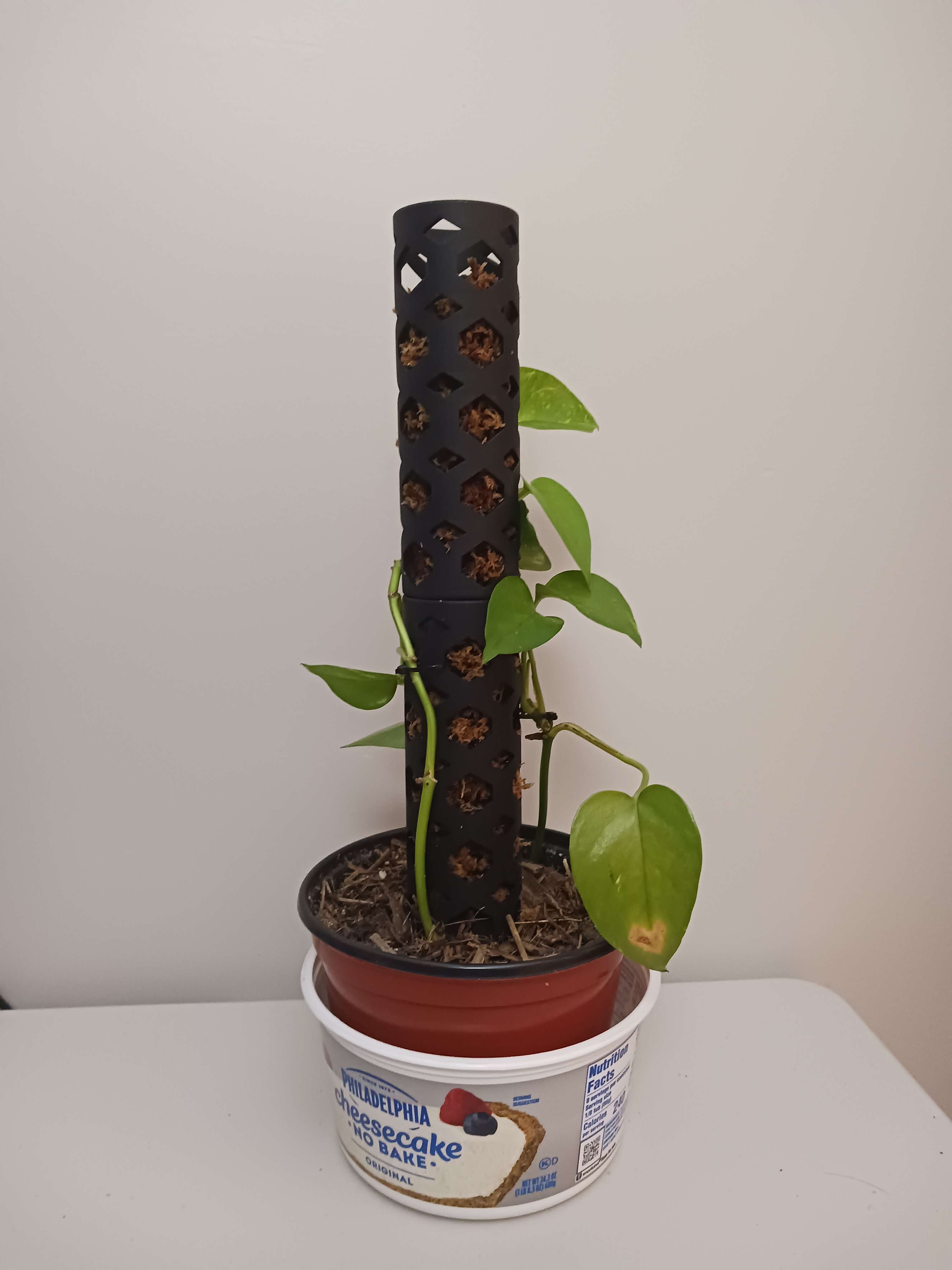 Modular Moss Pole