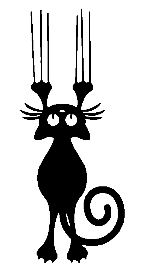 2D Cat 4