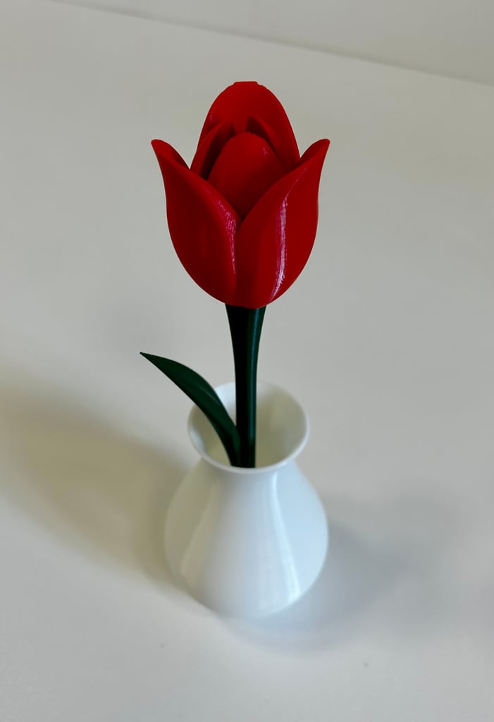 Tulip flower with stem stand & vase