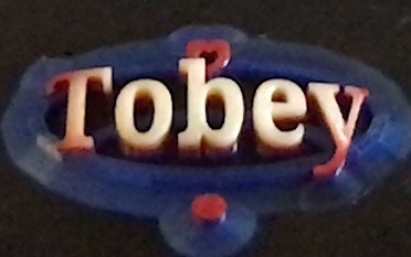 Tobey keychain name tag
