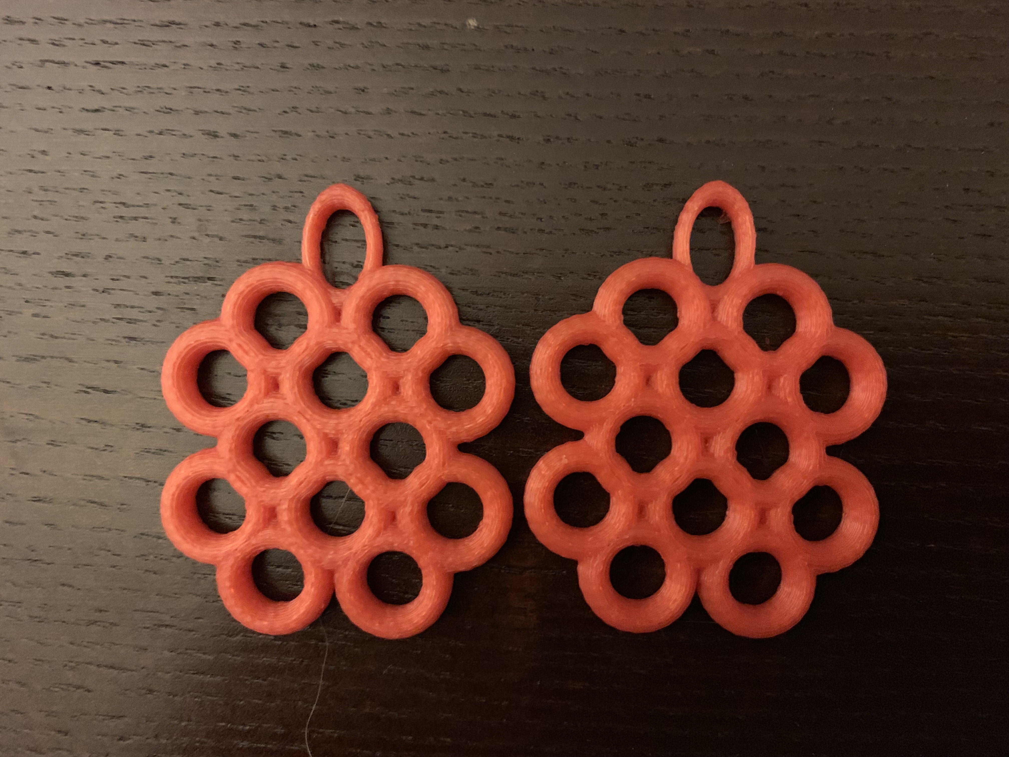 Torus Pattern Earrings