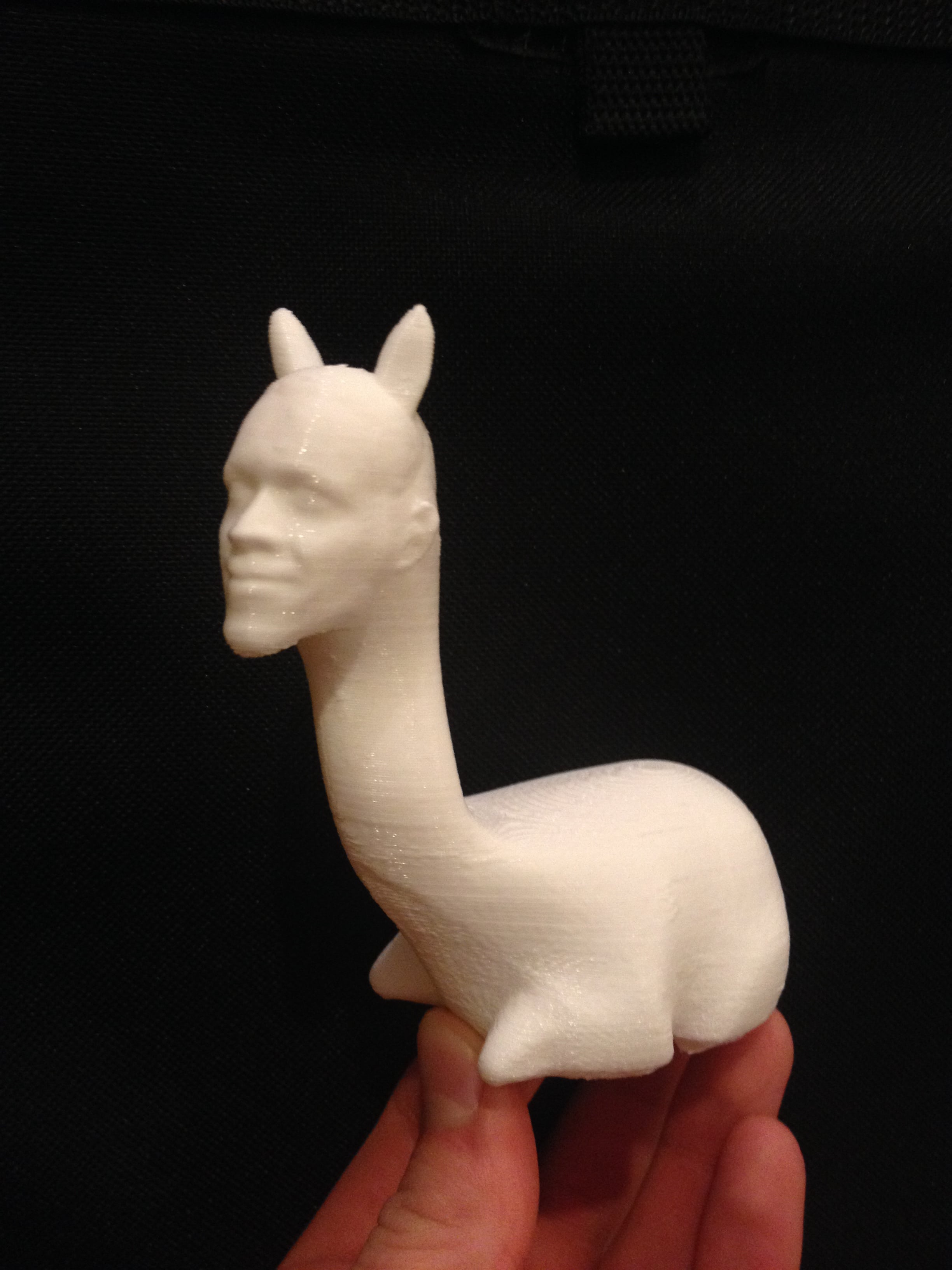 Obama Llama
