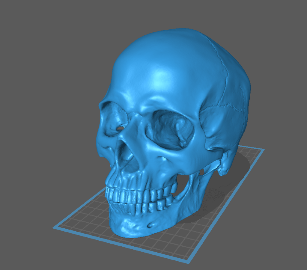 3d Scanned Human  Skull using Creaform Handyscan