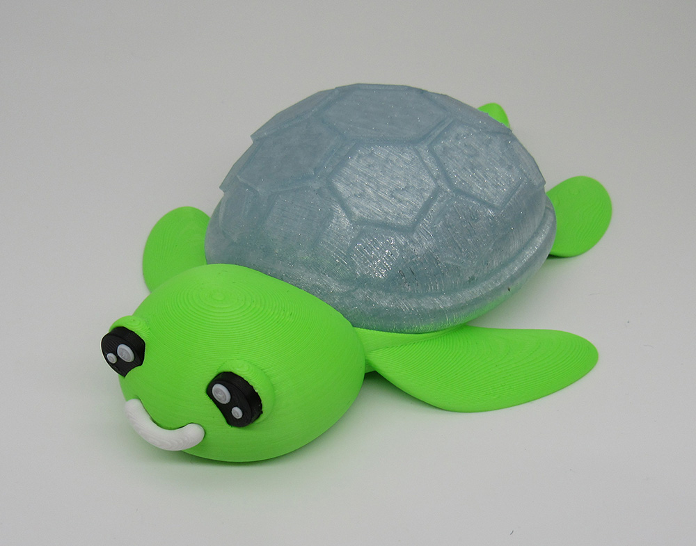 Cute Turtle