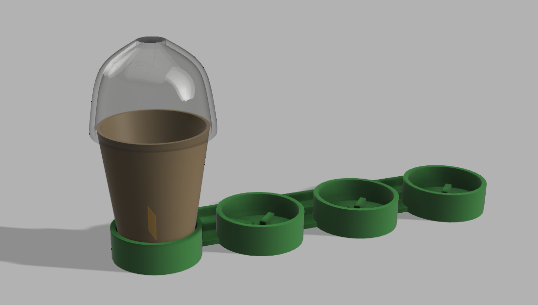 Sapling Mini Pots