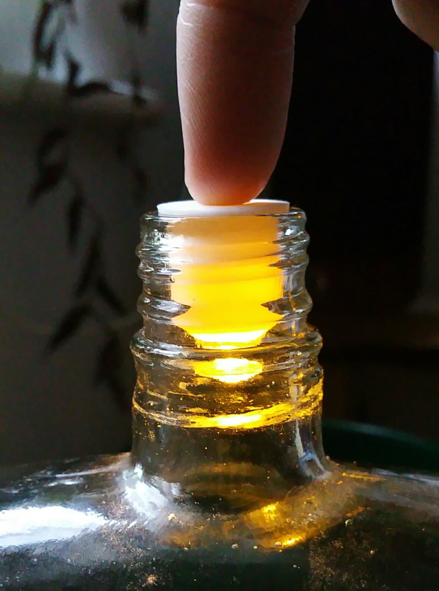 Bottle Light