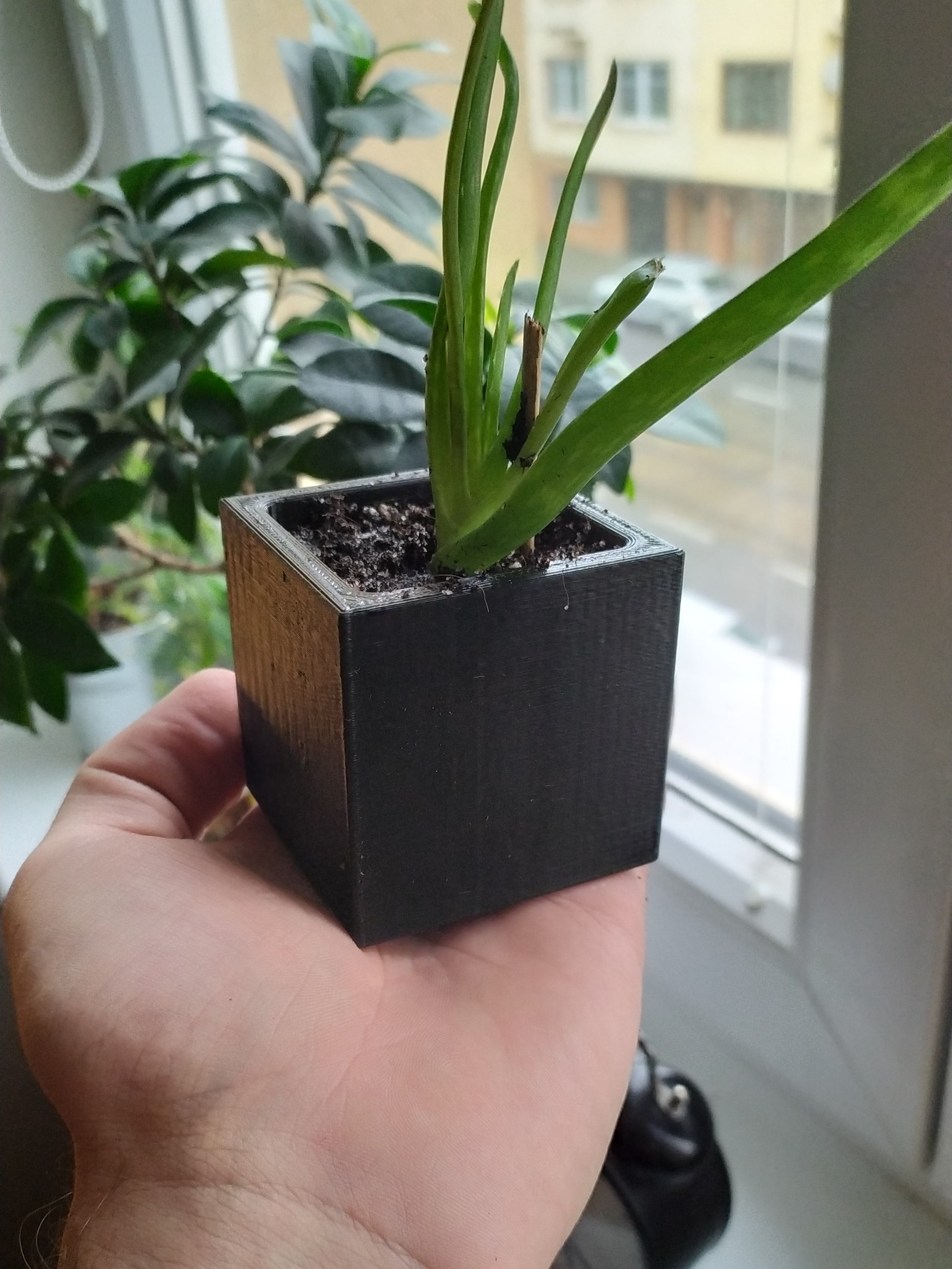 Succulent Planter Cube