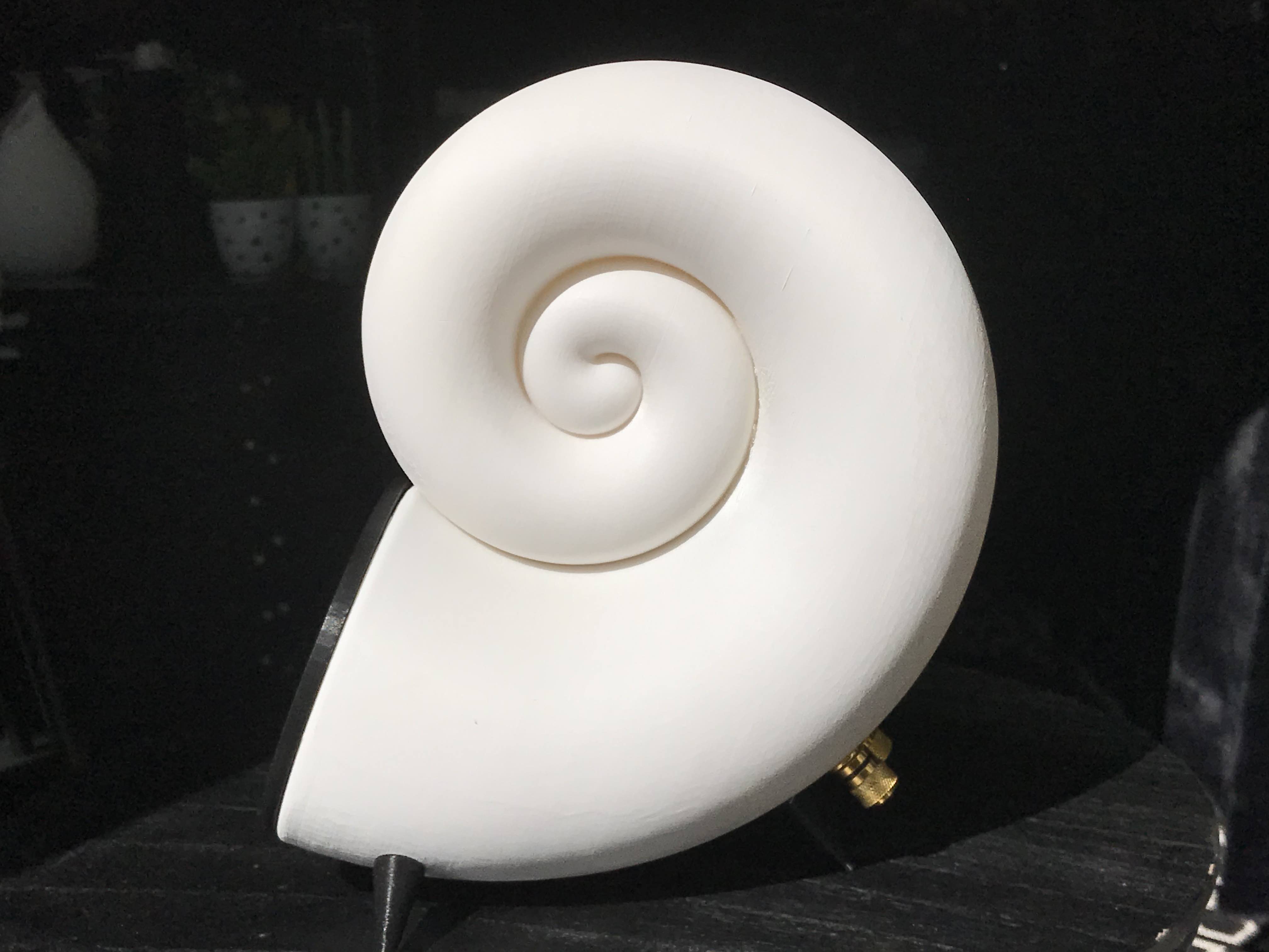 NAUTILUS SHELL SPEAKER 100mm
