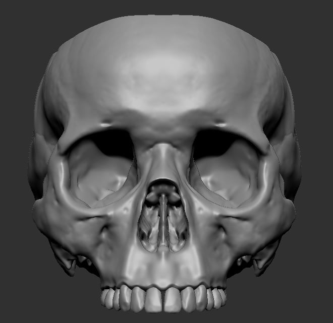 Skull pot with drainage holes!