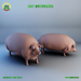 oat brothers 3D model