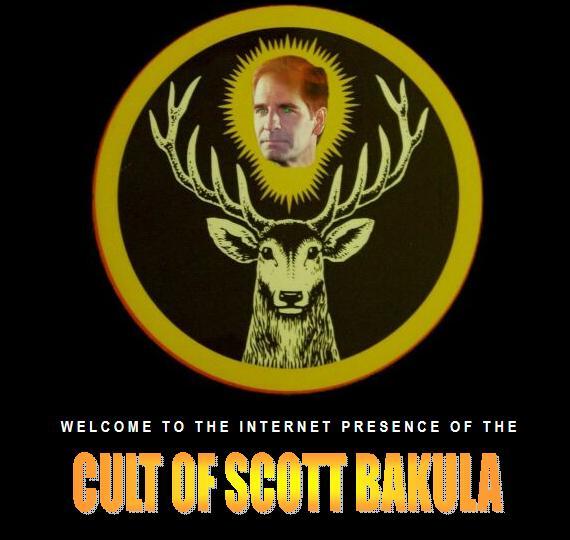 TCOSB - The Cult of Scott Bakula Symbol - 2 Color Print