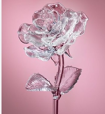 Valentine's day single roses