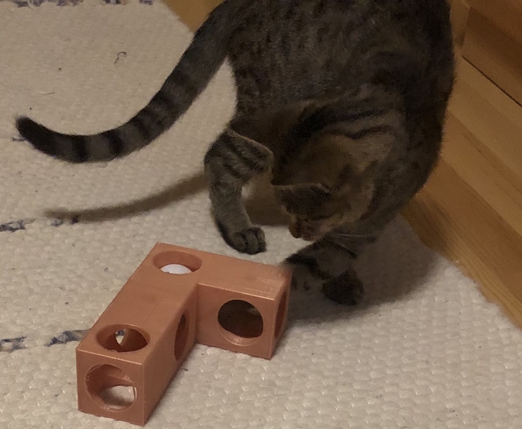 Modular cat toy