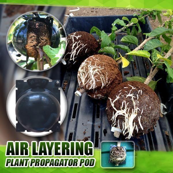 Reusable Plant Root Growing