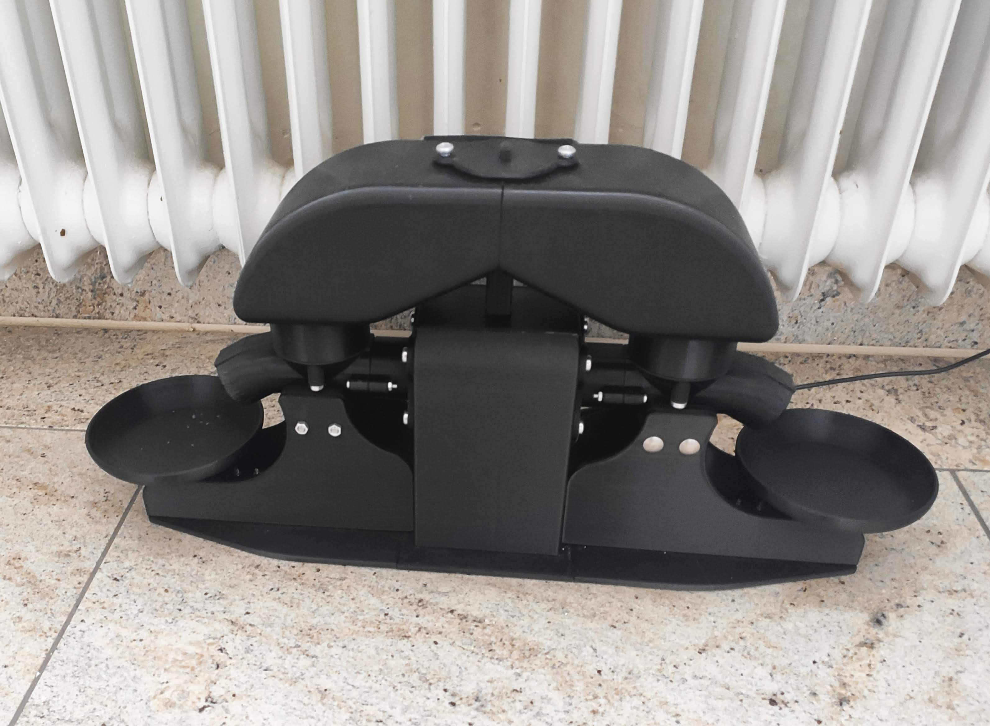 DualCatFeeder
