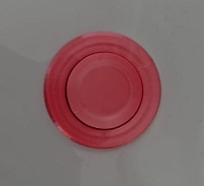 WC toilet flush button