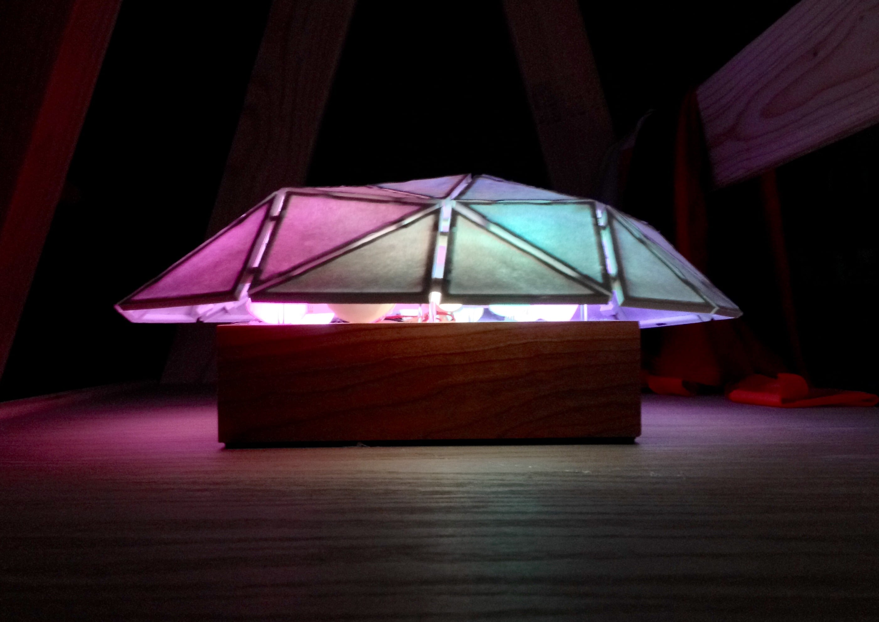 Organic Geodesic
