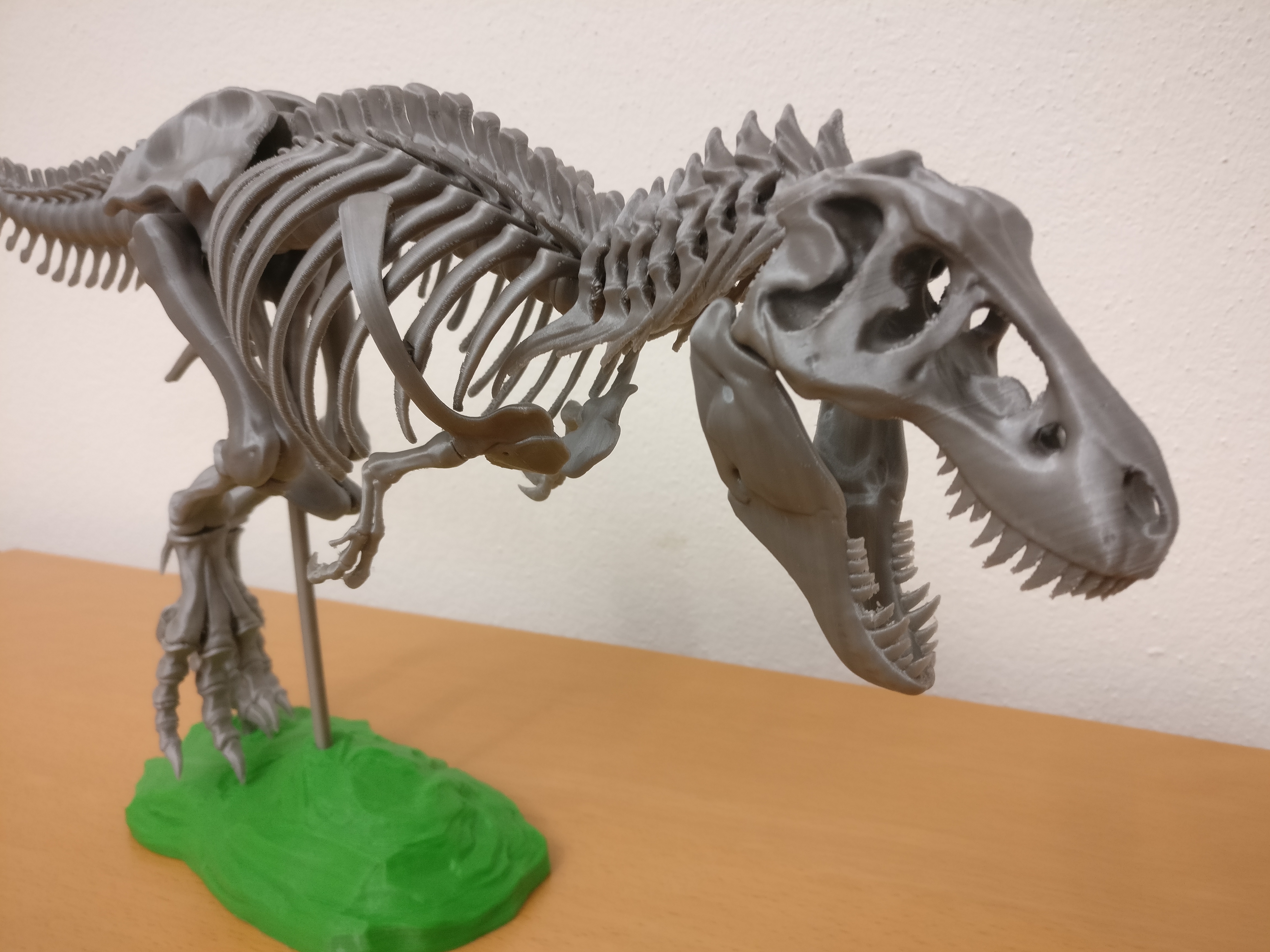 T-Rex Skeleton with fixed files