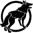 Datawolf62