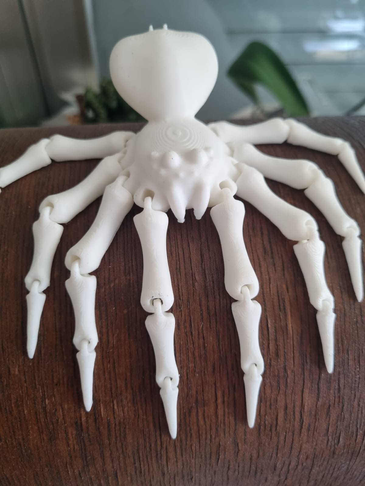 Articulated Spider Fixed