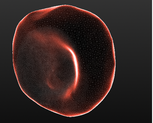 A model for a Red Blood Cell
