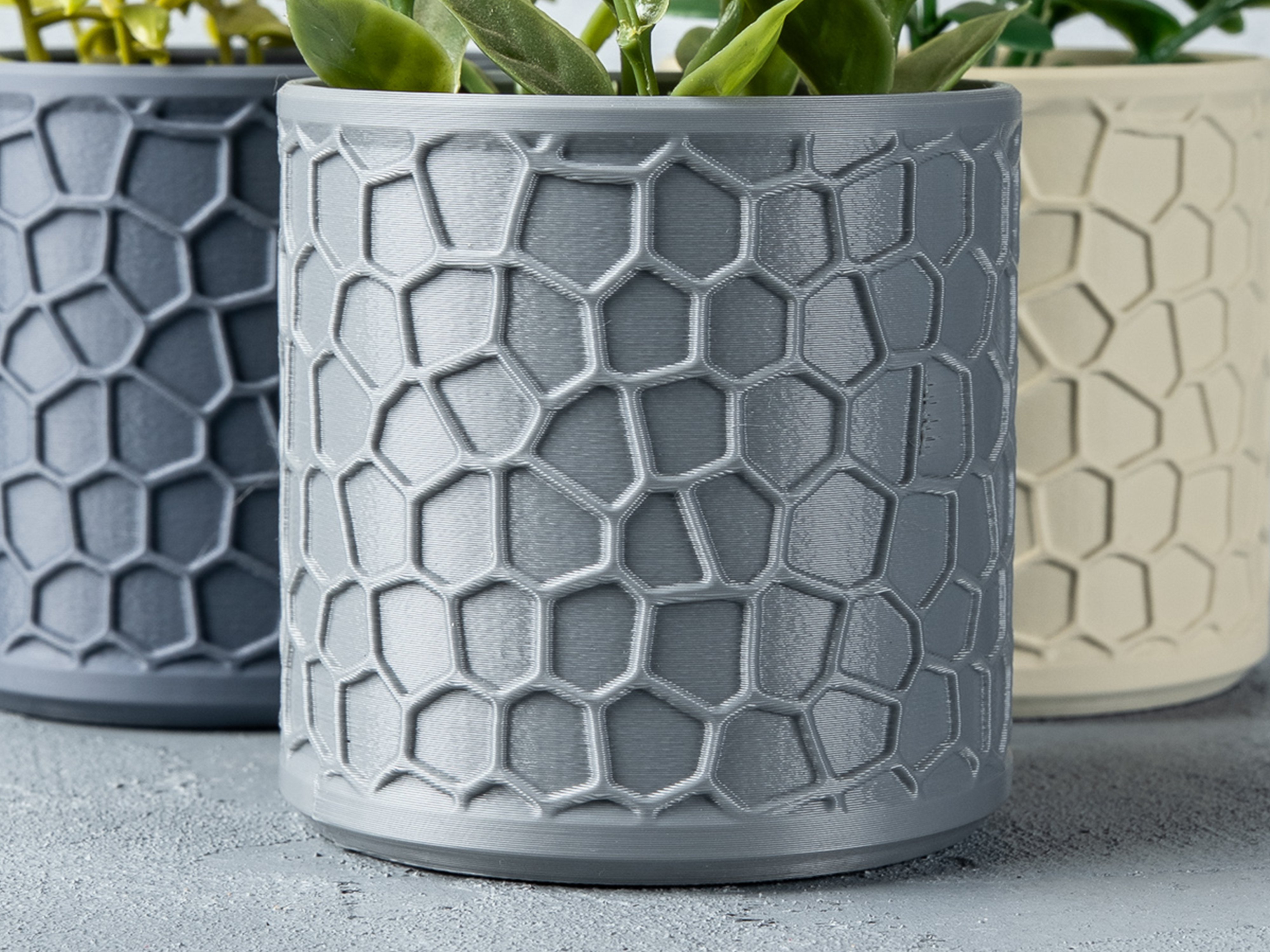 Honeycomb Planter