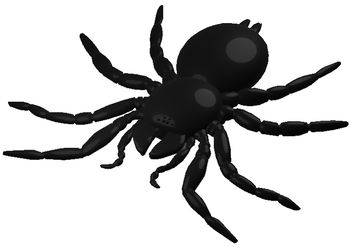 Funnel Web Spider