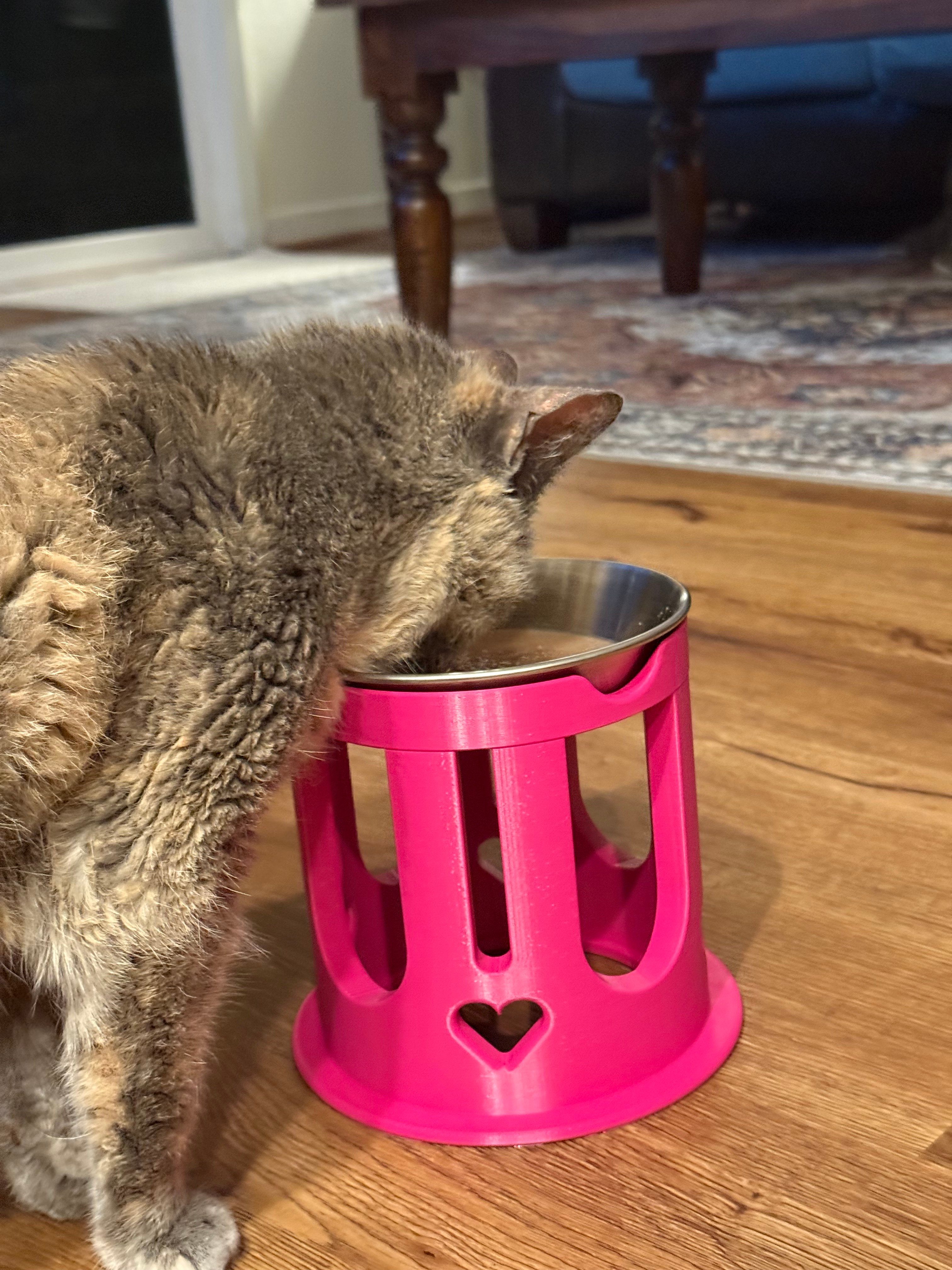 Elevated Cat Bowl