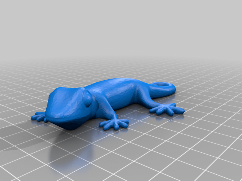 Loop Tail Gecko with magnet holes (Bonus wizard hat)
