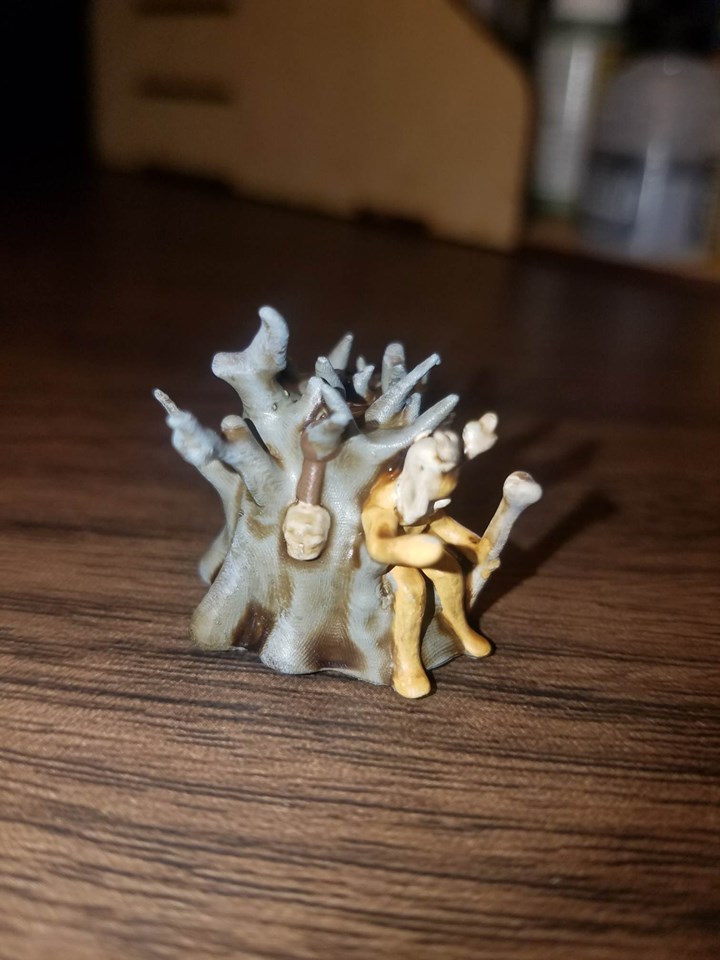 Forest Witch