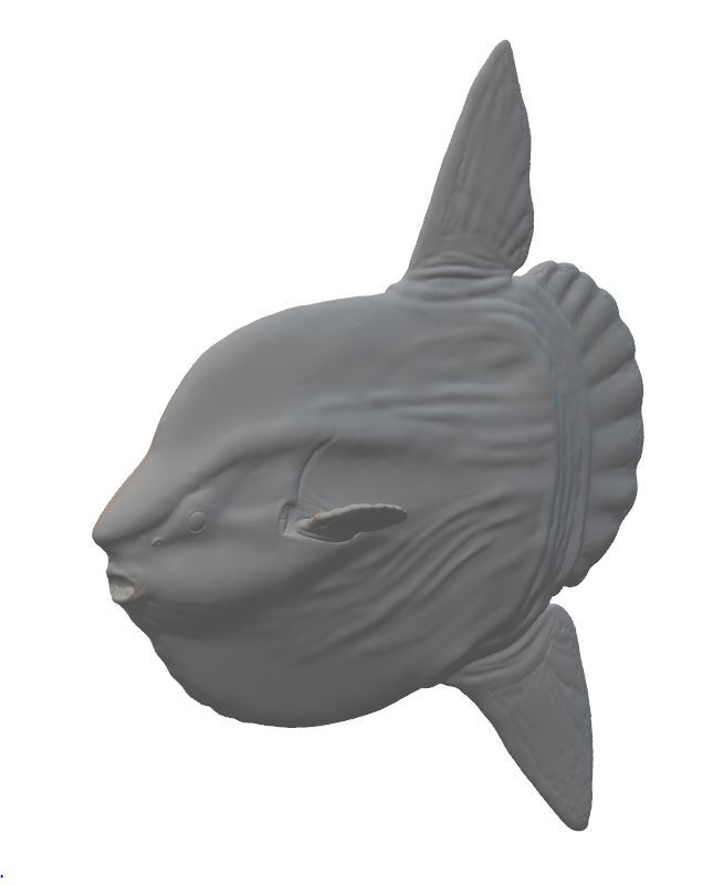 Ocean sunfish (Mola mola) 1/35