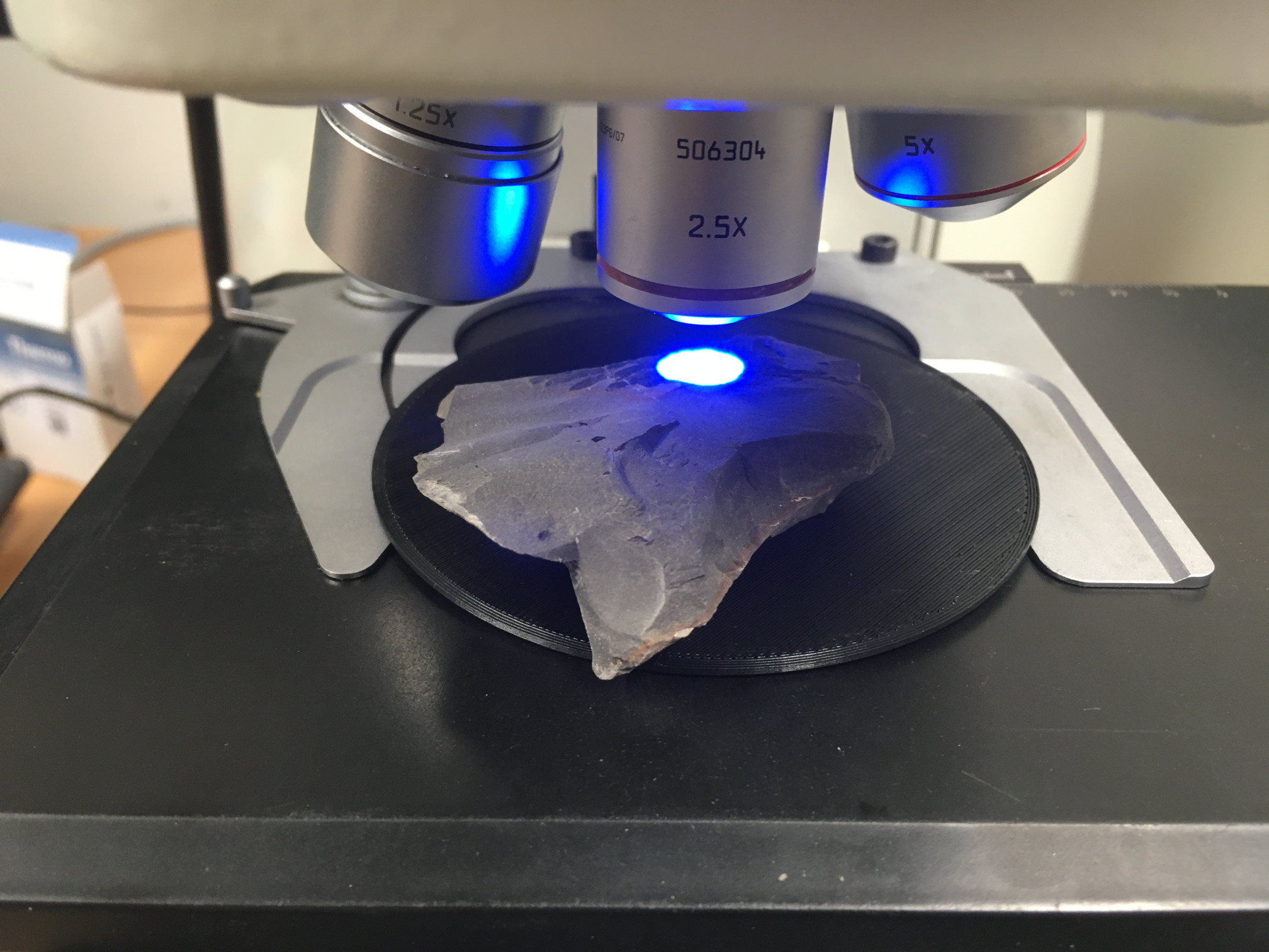Microscope tray for in situ studies