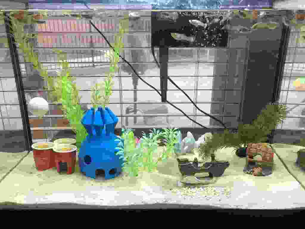 SpongeBob House Aquarium