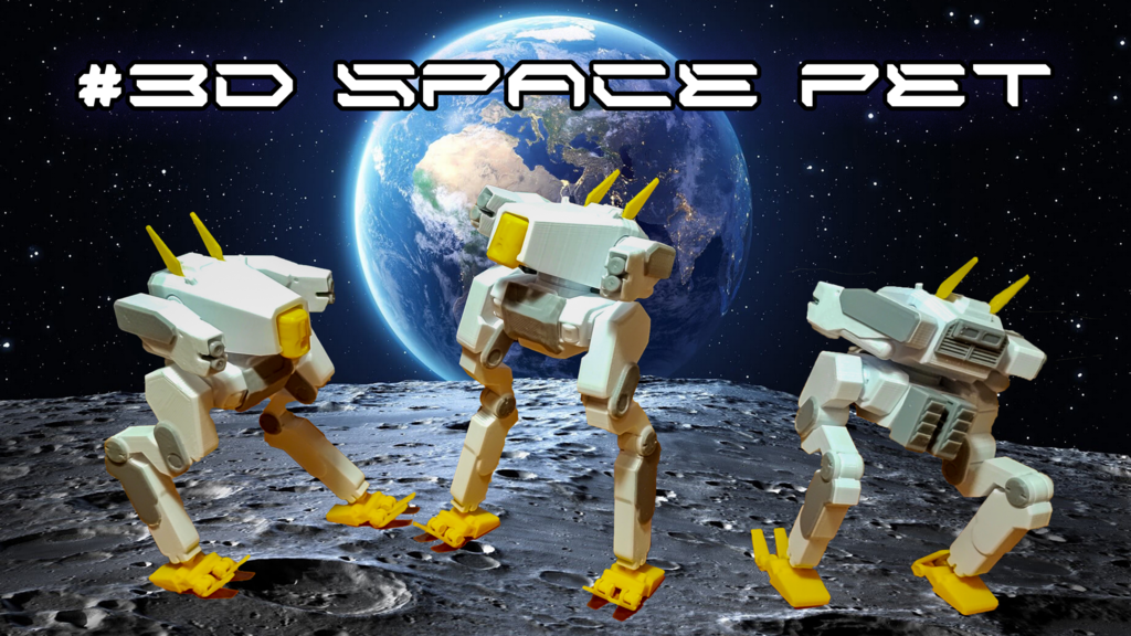 3D Space PET