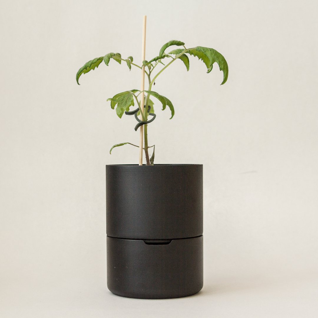 Self-Watering Pot